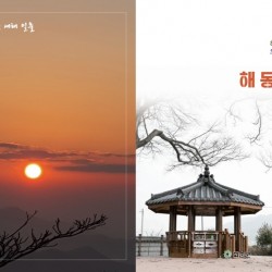 [마을소식지] 청풍면 해동마을 소식지 7호 시안_1
